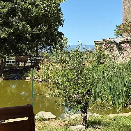 Le Cocon De Roquelande Equestrian Boarding House