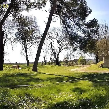 Le Cocon De Roquelande Equestrian Boarding House Holiday home *