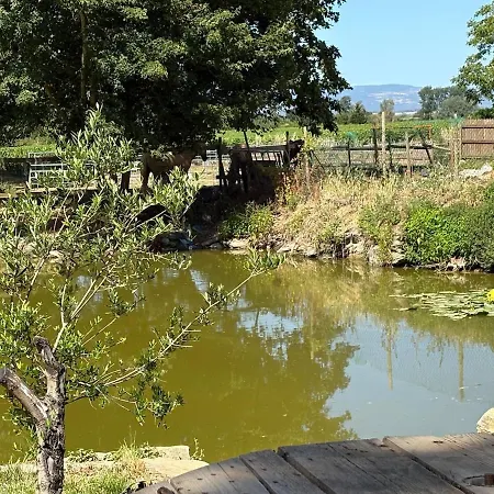 Holiday home Le Cocon De Roquelande Equestrian Boarding House Arzens