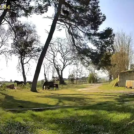 Holiday home Le Cocon De Roquelande Equestrian Boarding House