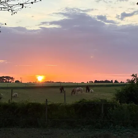 Holiday home Le Cocon De Roquelande Equestrian Boarding House
